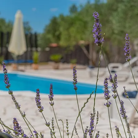 Intrade Βίλα Velika Cista (Sibenik-Knin)