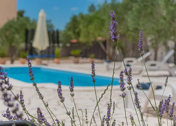 Intrade 别墅 Velika Cista (Sibenik-Knin)